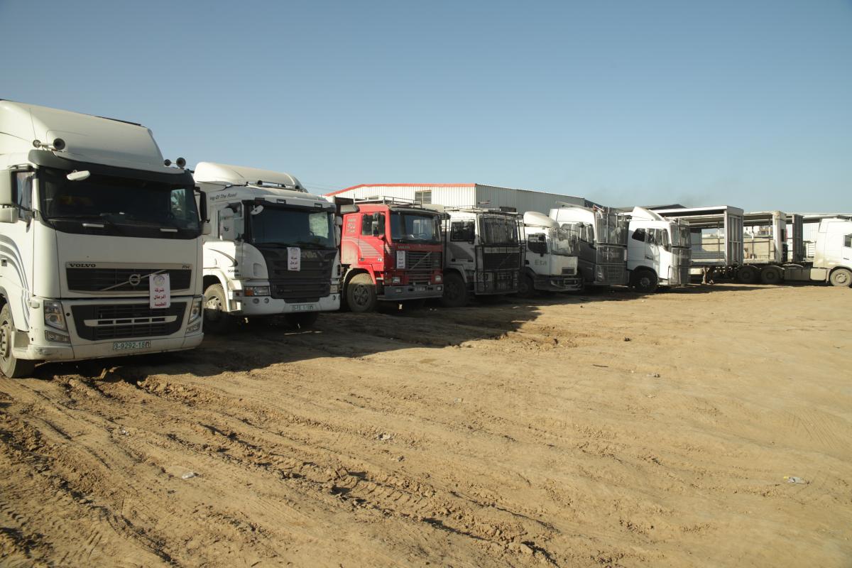 Logistics and Cargo Security in Gaza: Precision Amidst Complexity