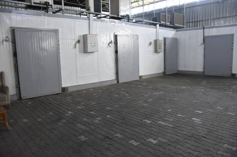 Large-Scale Cold Storage & Refrigeration Solutions